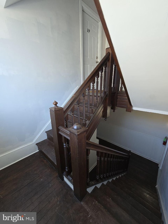 staircase featuring wood-type flooring