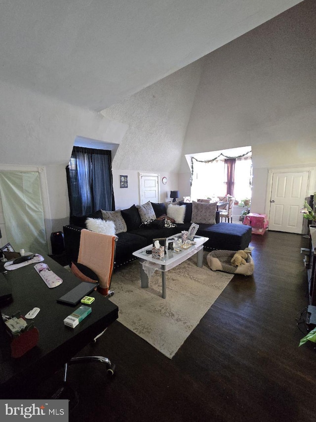 living room featuring vaulted ceiling and dark wood-type flooring