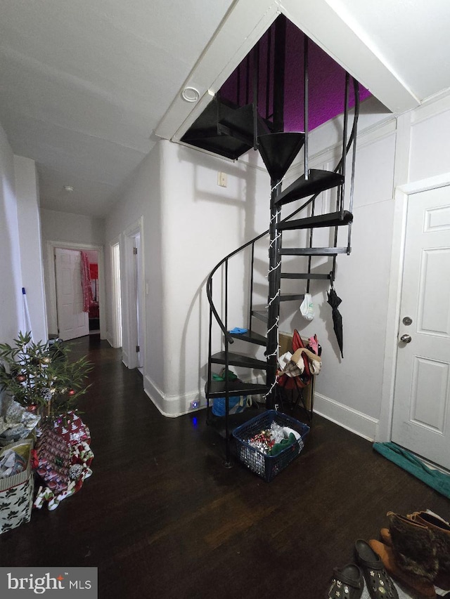 stairway featuring hardwood / wood-style floors