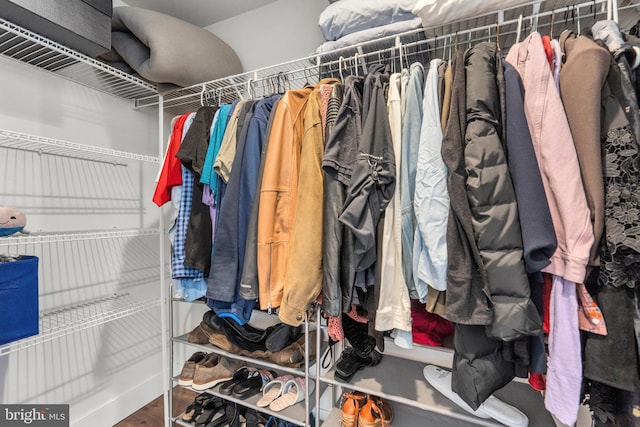 walk in closet with wood finished floors