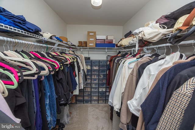 walk in closet with carpet