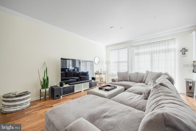 living room with ornamental molding and light hardwood / wood-style floors