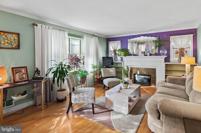 living room with hardwood / wood-style floors and ornamental molding