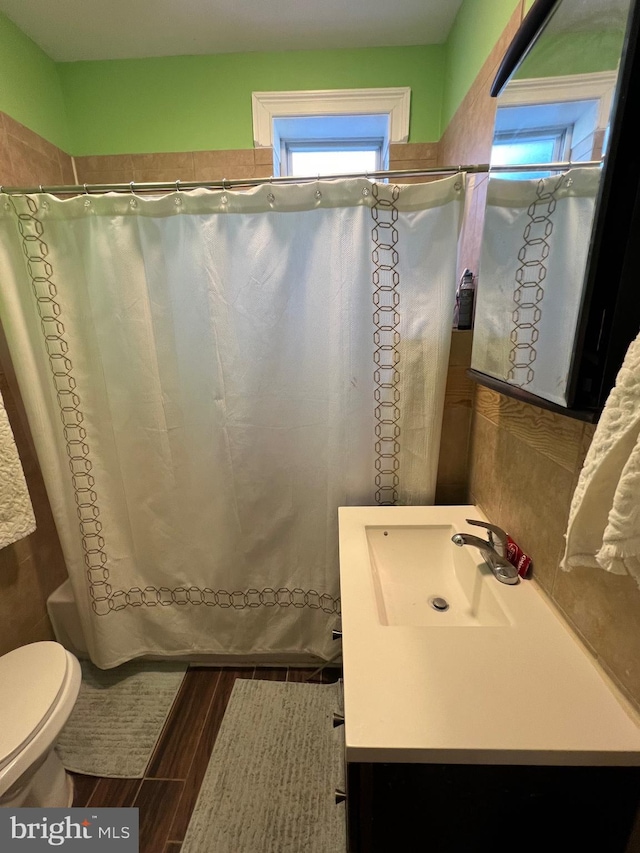 bathroom with sink and toilet