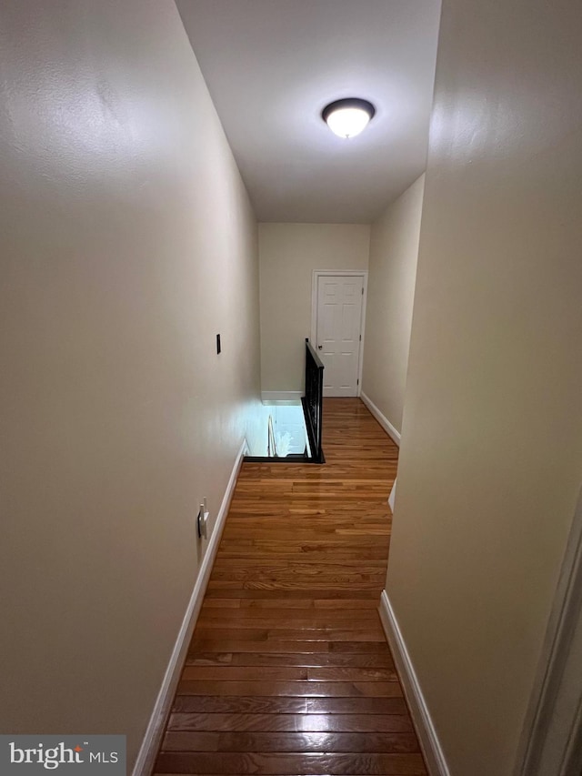 hall featuring dark wood-type flooring