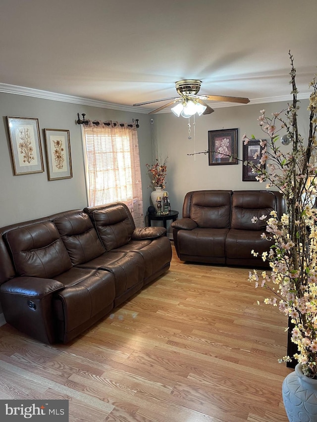 living room featuring crown molding, light hardwood / wood-style flooring, and ceiling fan