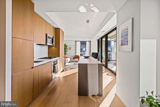 kitchen featuring pendant lighting, appliances with stainless steel finishes, a center island, and light wood-type flooring