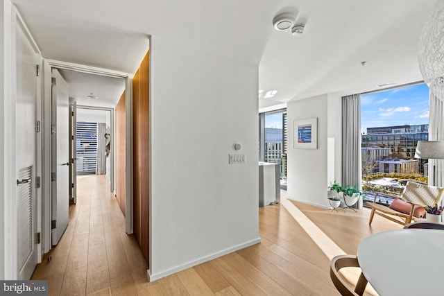 hallway featuring floor to ceiling windows and light wood-type flooring