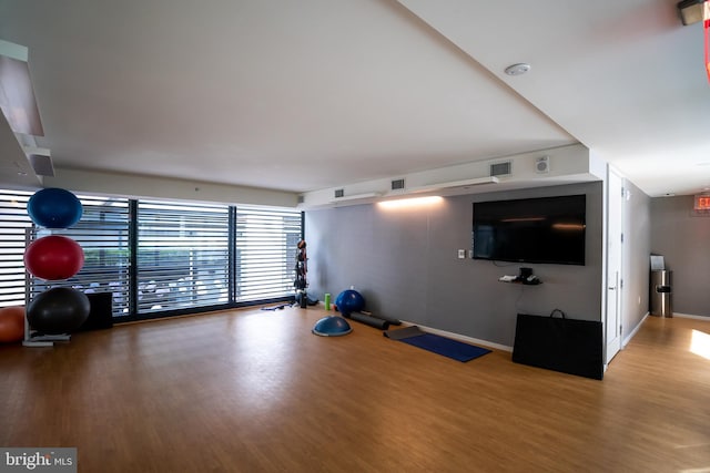 exercise area featuring wood-type flooring