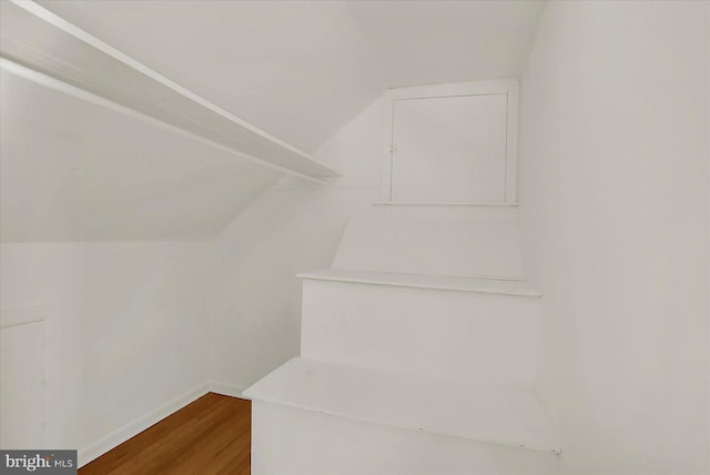 walk in closet featuring hardwood / wood-style floors