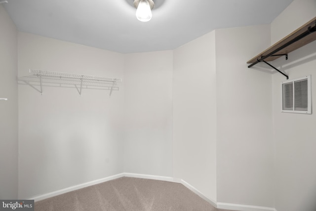 spacious closet featuring carpet flooring