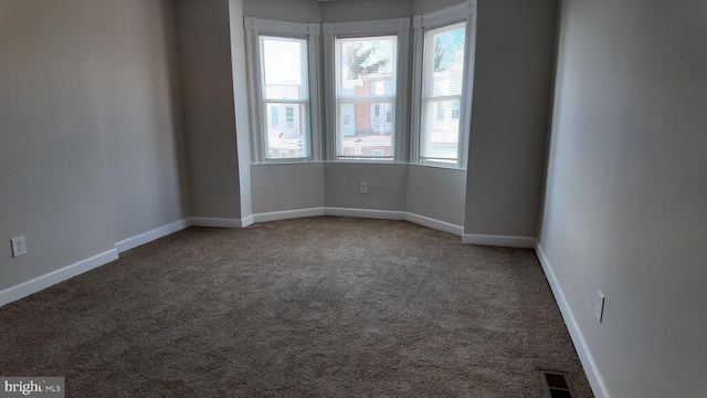 spare room with carpet floors