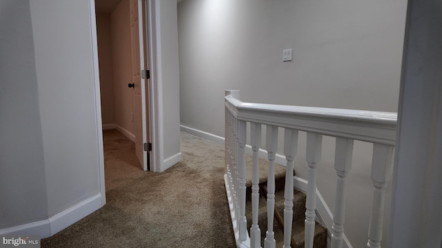 hallway featuring carpet flooring