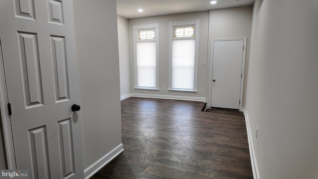 foyer entrance featuring dark wood-type flooring