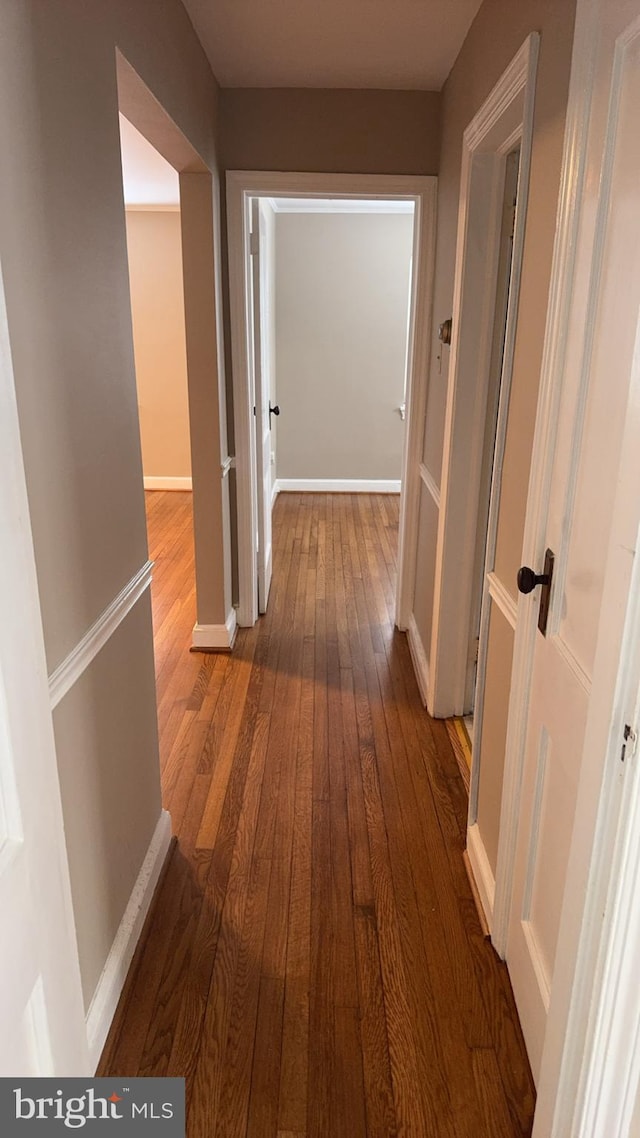 corridor featuring wood-type flooring