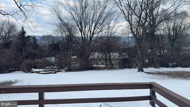 view of snowy yard