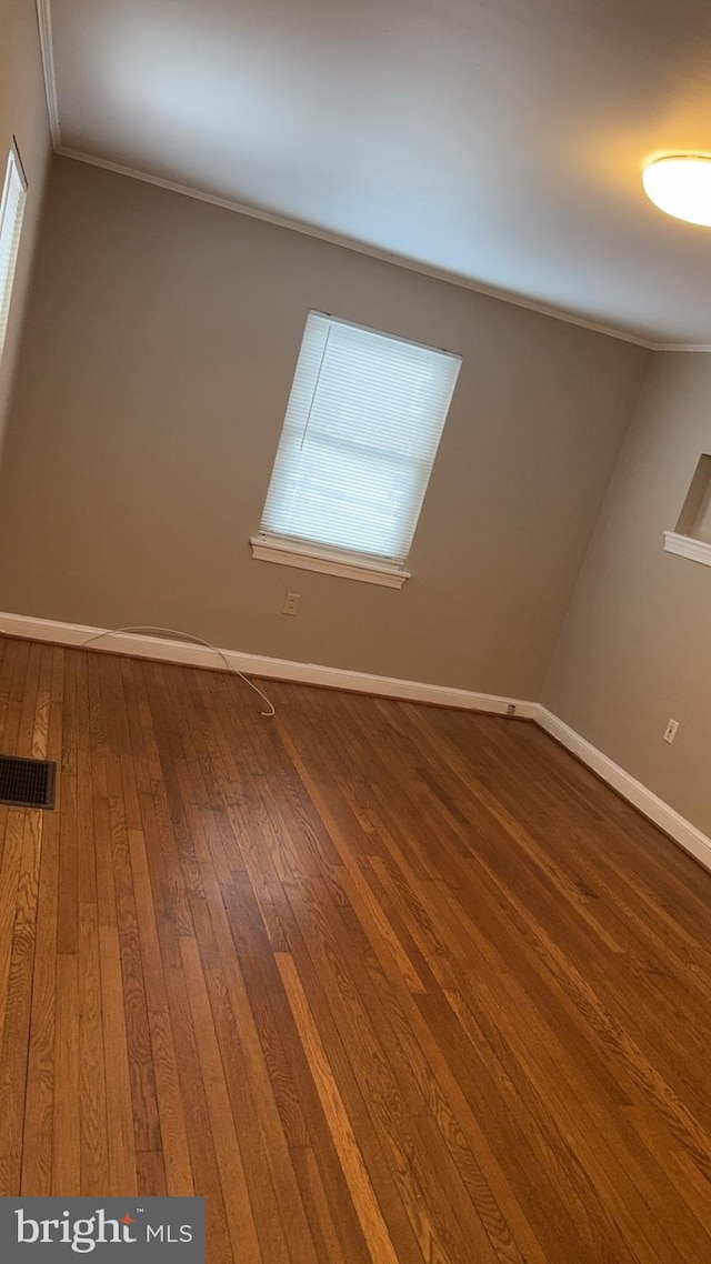 additional living space featuring wood-type flooring