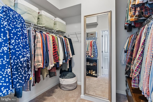 walk in closet featuring carpet