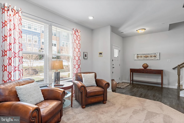 living area with dark hardwood / wood-style floors