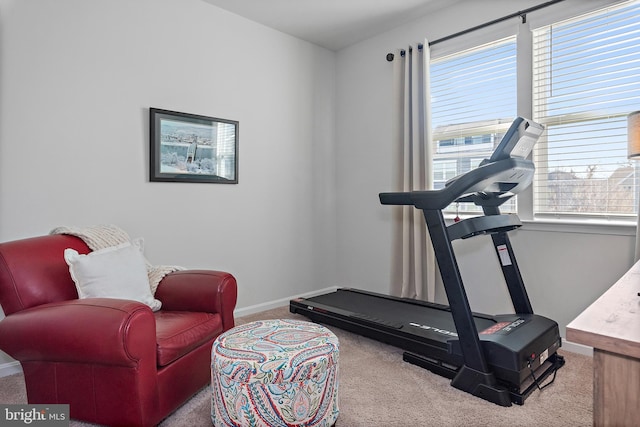 workout room featuring light colored carpet