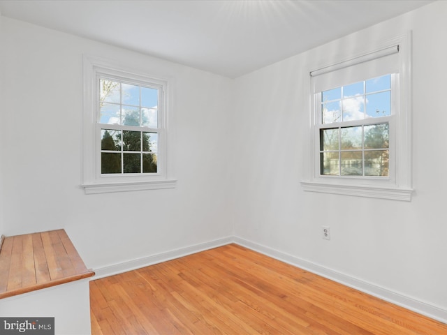 empty room with light wood-type flooring