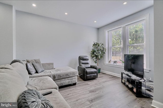 living room featuring light wood-type flooring