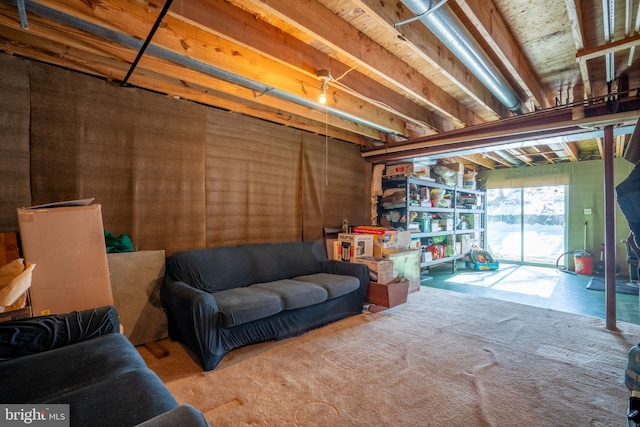 basement with carpet flooring