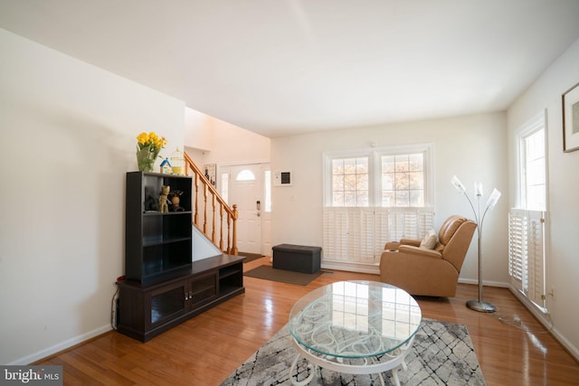 living room with hardwood / wood-style flooring