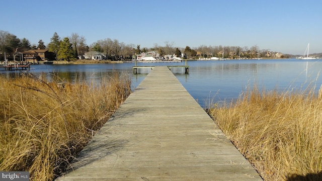 dock area with a water view