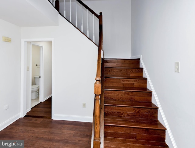 stairs featuring hardwood / wood-style flooring