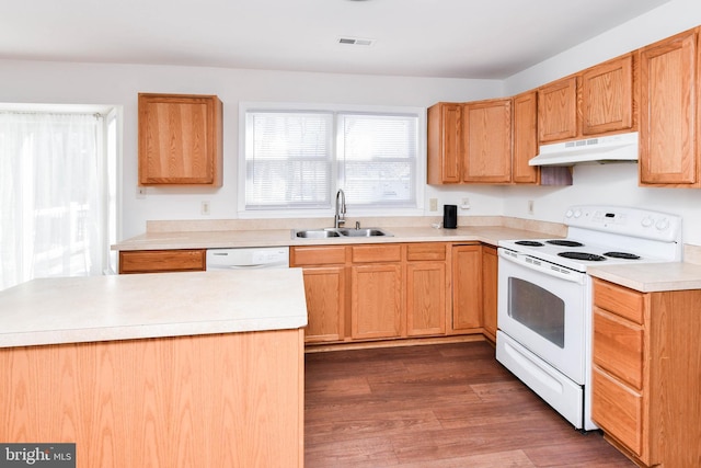 kitchen with sink, white appliances, and dark hardwood / wood-style floors