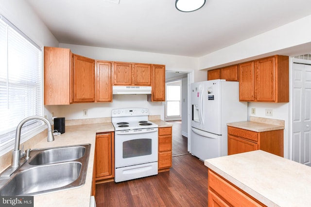 kitchen with sink, white appliances, and dark hardwood / wood-style flooring