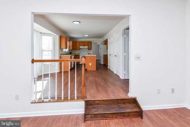 kitchen with dark wood-type flooring, sink, and white appliances