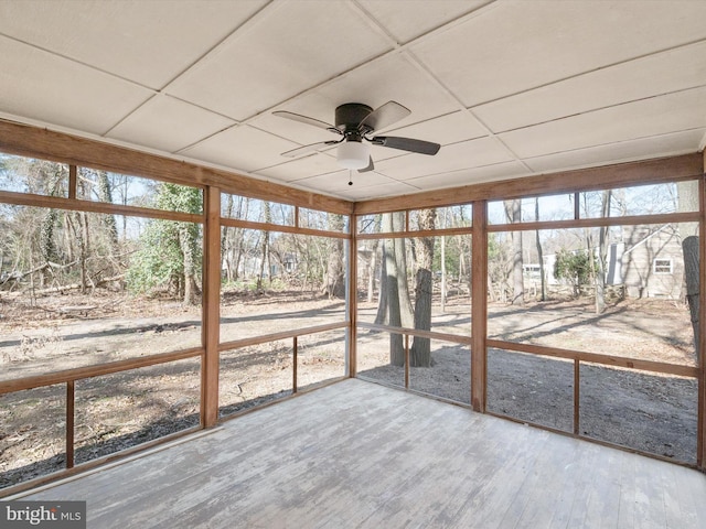 unfurnished sunroom featuring ceiling fan and a paneled ceiling