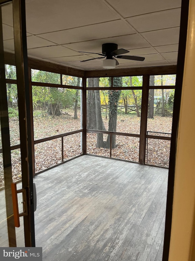 unfurnished sunroom with a drop ceiling and ceiling fan