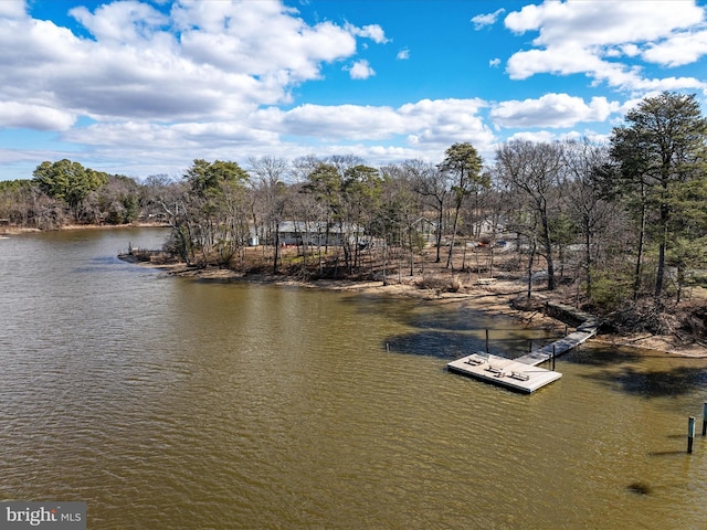 property view of water with a floating dock