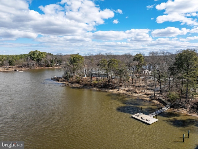 property view of water with a dock