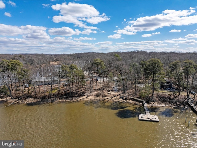 aerial view featuring a forest view and a water view