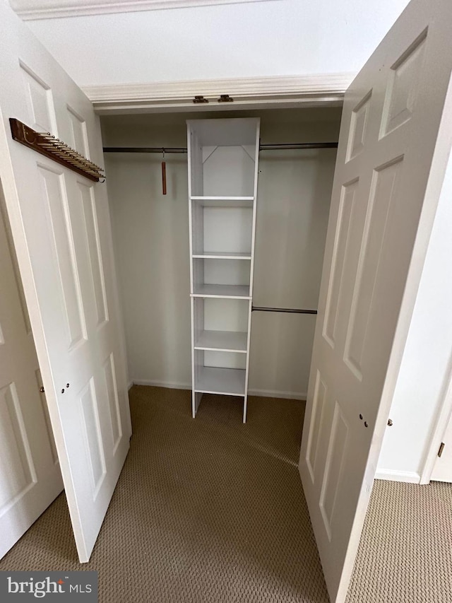 view of closet