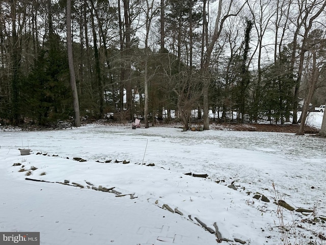 view of snowy yard