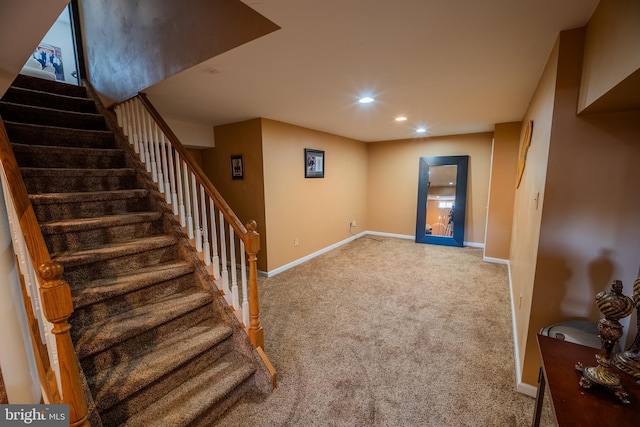 basement featuring carpet