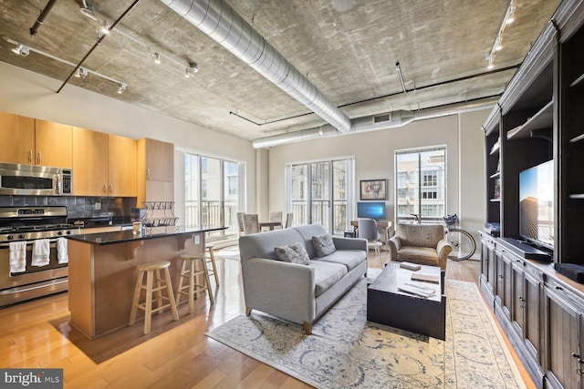 living room with light hardwood / wood-style flooring