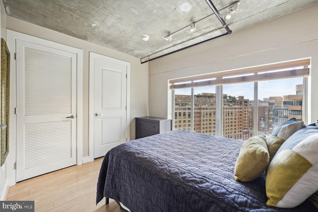 bedroom featuring light hardwood / wood-style flooring and multiple windows