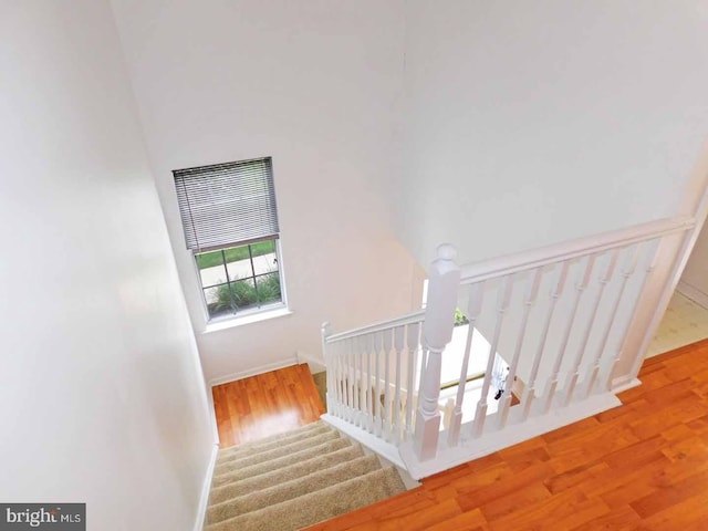 stairs featuring hardwood / wood-style flooring