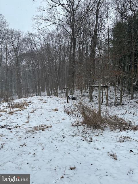 view of snowy landscape