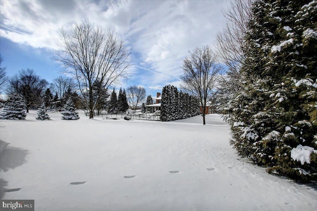 view of yard covered in snow