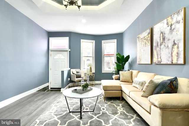 living room featuring hardwood / wood-style flooring and a tray ceiling