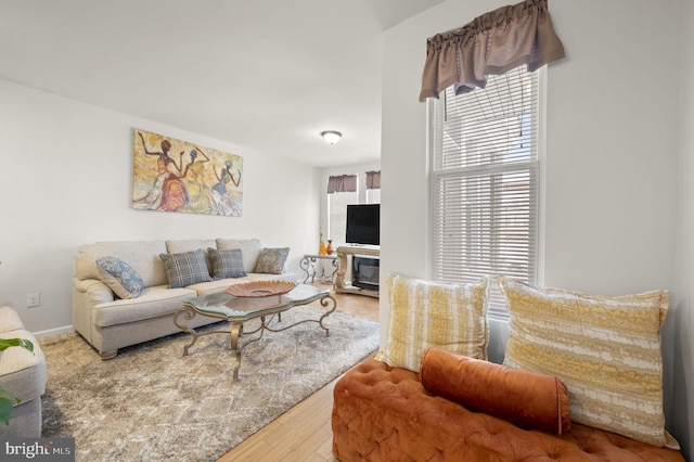 living room featuring hardwood / wood-style flooring and a wealth of natural light