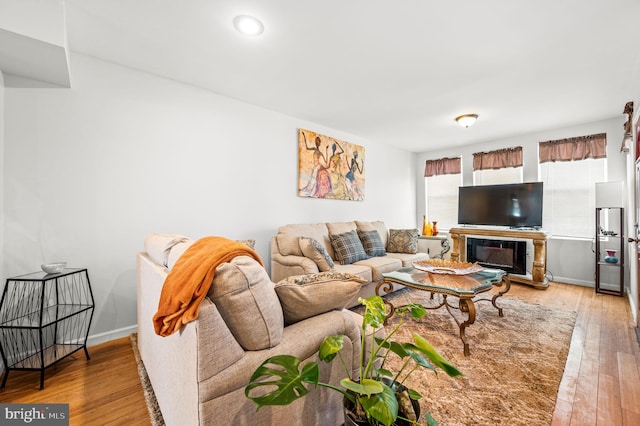 living room with wood-type flooring