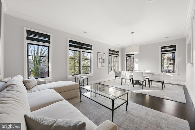 living room featuring hardwood / wood-style flooring, crown molding, and plenty of natural light